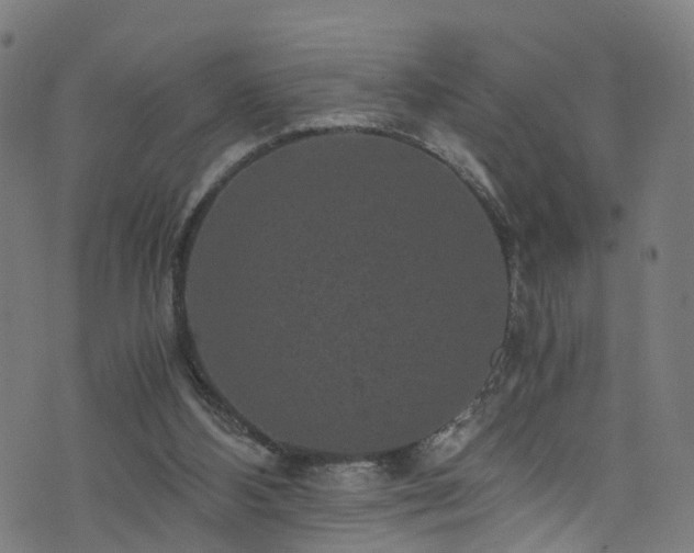 X0000076270108200610051320