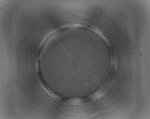 X0000076270110200610051320