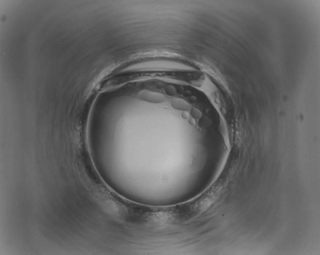 X0000076270111200610051320