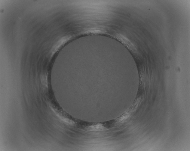 X0000076270112200610051320