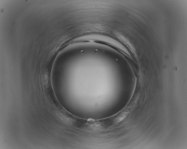 X0000076270113200610051320