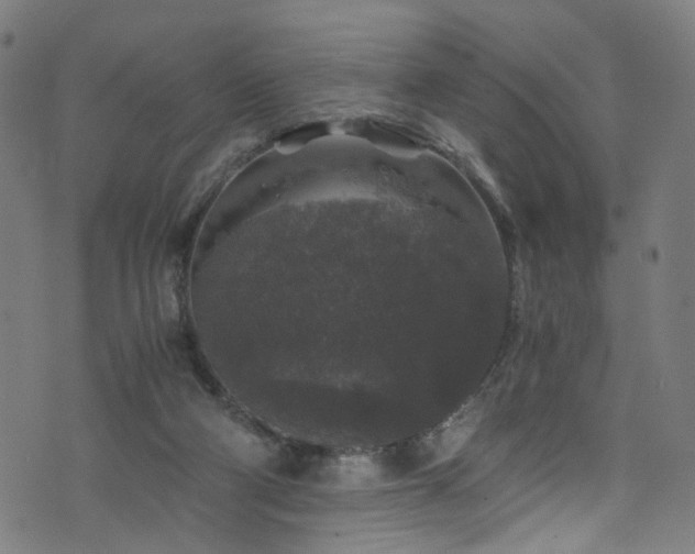 X0000076270114200610051320