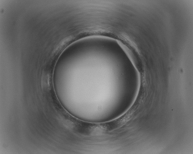 X0000076270115200610051320