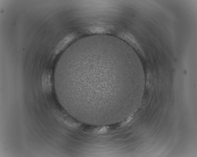 X0000076270116200610051320