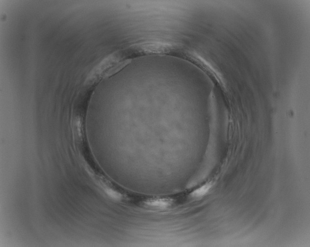 X0000076270117200610051320