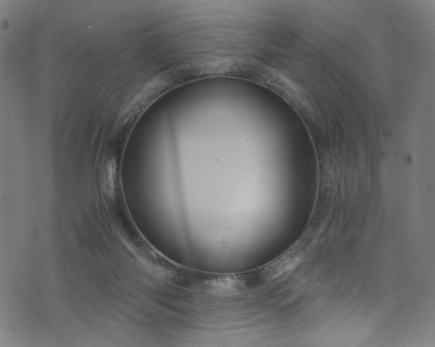 X0000076270118200610051320