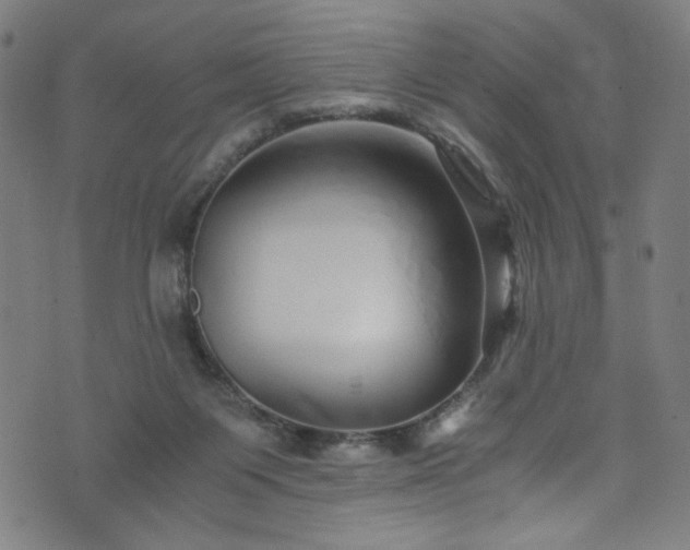 X0000076270119200610051320