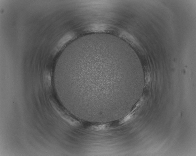 X0000076270120200610051320