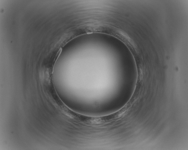 X0000076270121200610051320