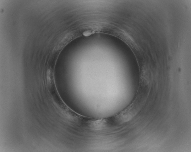 X0000076270122200610051320