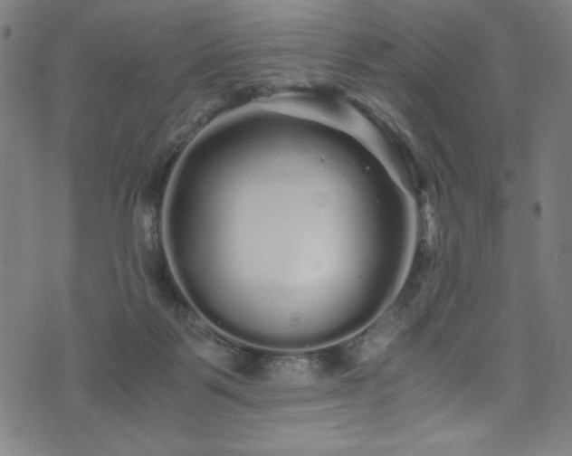 X0000076270123200610051320