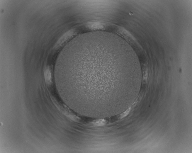 X0000076270124200610051320