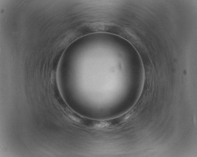 X0000076270125200610051320