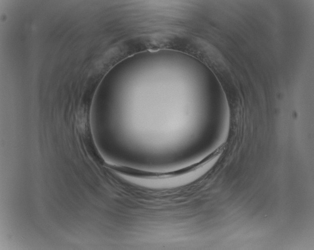 X0000076270129200610051320