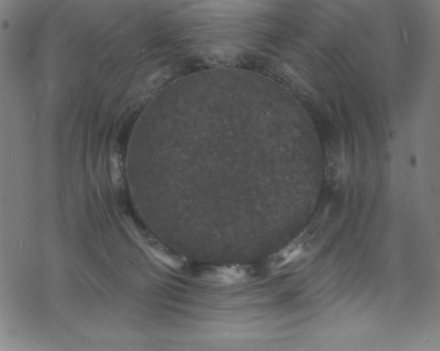 X0000076270130200610051320