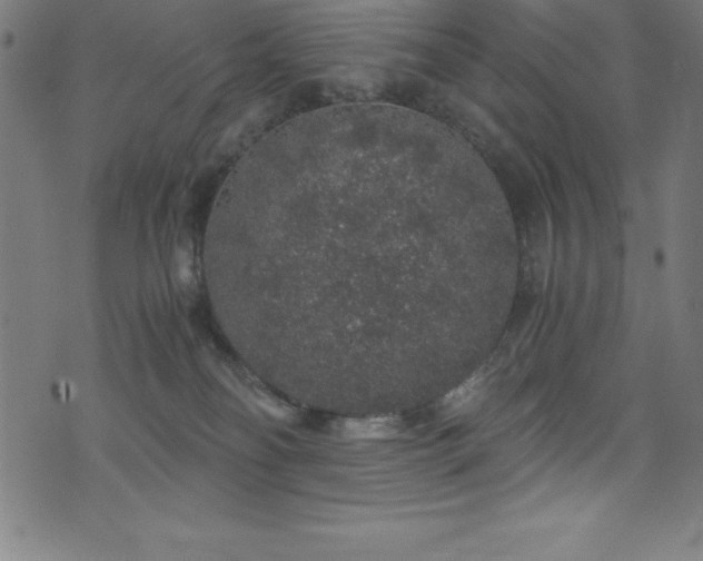 X0000076270134200610051320