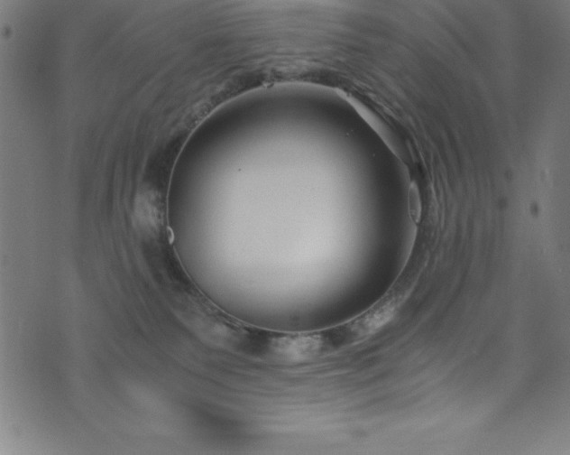 X0000076270135200610051320