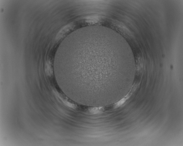 X0000076270136200610051320