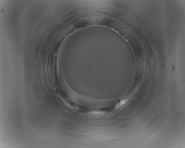 X0000076270137200610051320