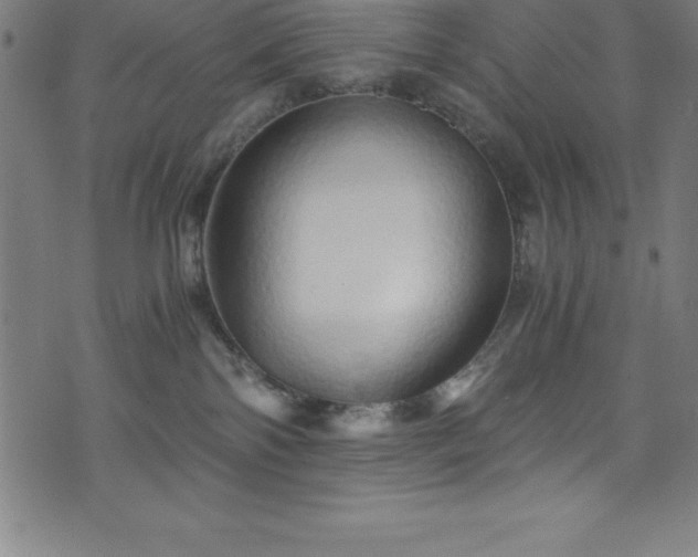 X0000076270138200610051320