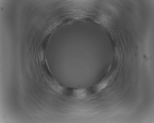 X0000076270139200610051320