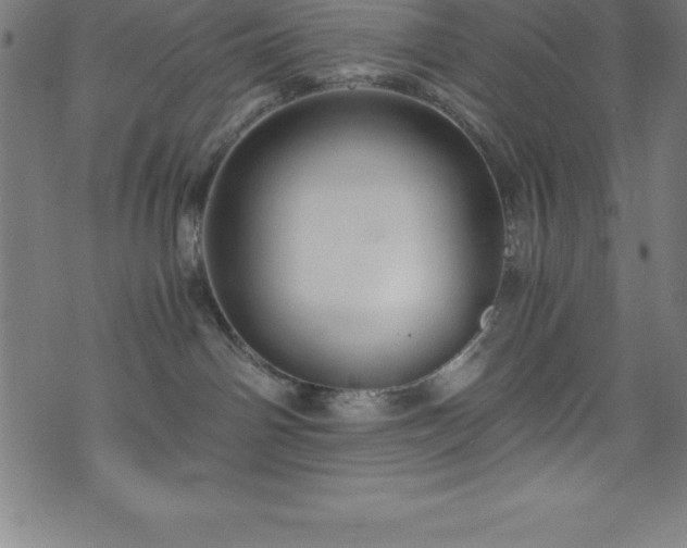 X0000076270142200610051320