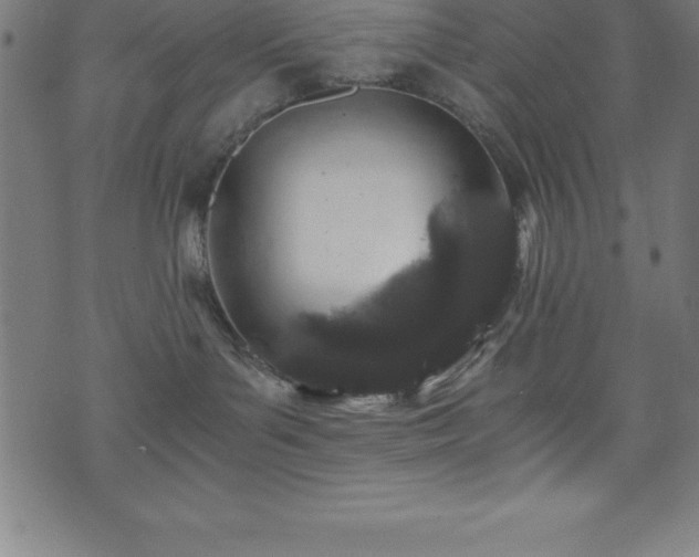 X0000076270143200610051320