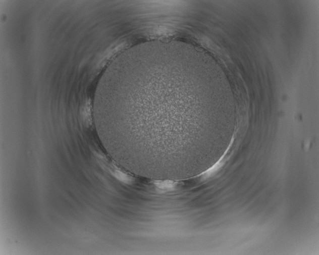 X0000076270144200610051320