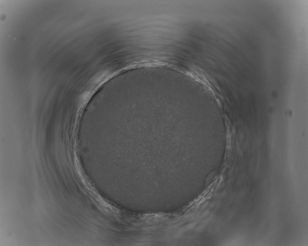 X0000076270145200610051319