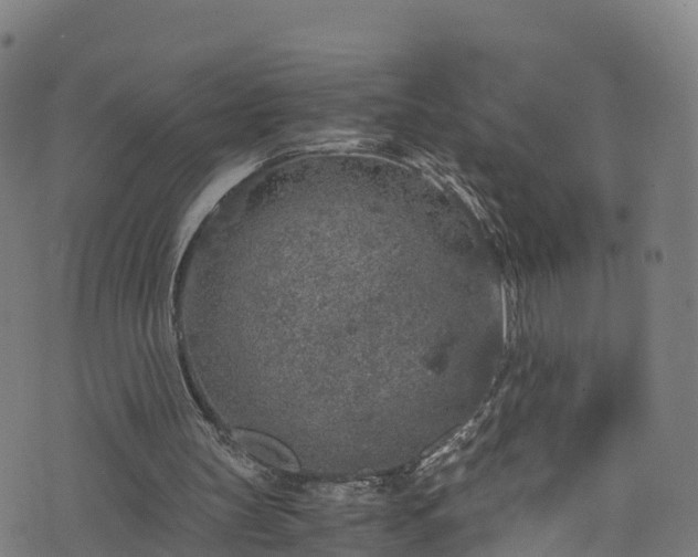 X0000076270147200610051319