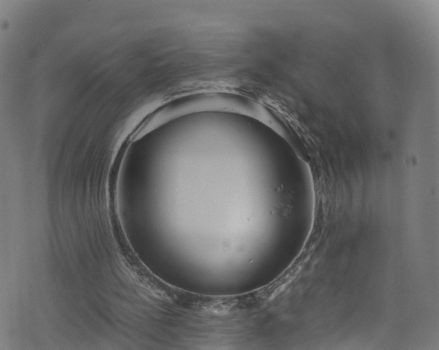 X0000076270148200610051319