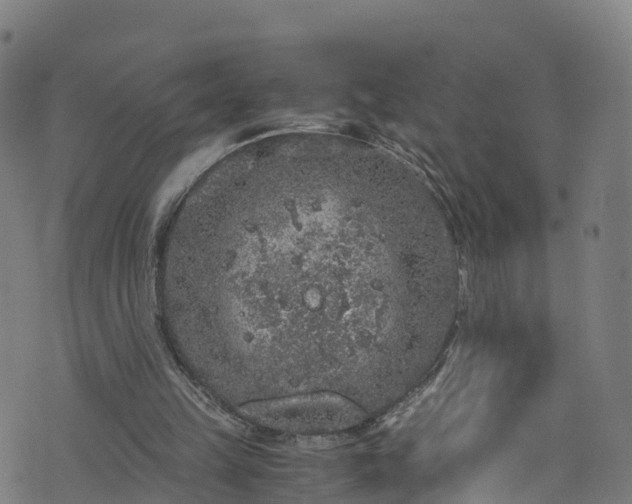 X0000076270149200610051319