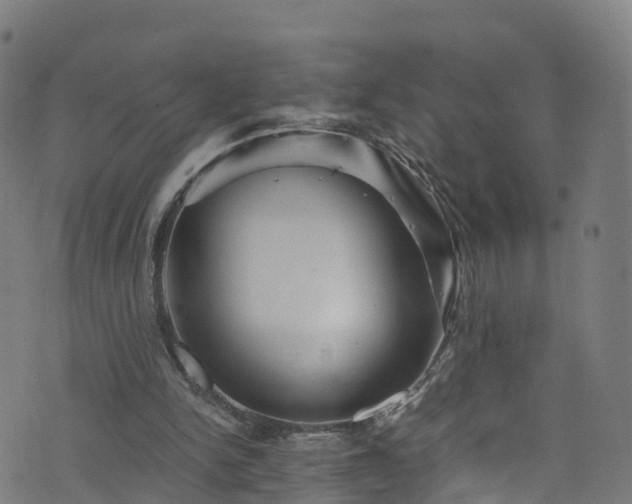 X0000076270150200610051319