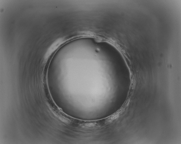 X0000076270151200610051319