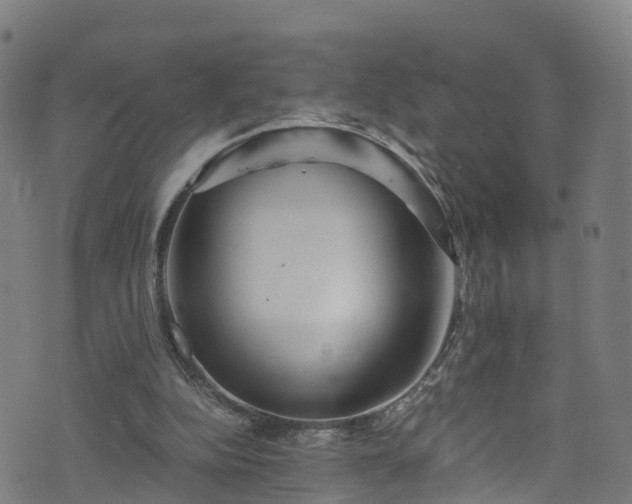 X0000076270152200610051319