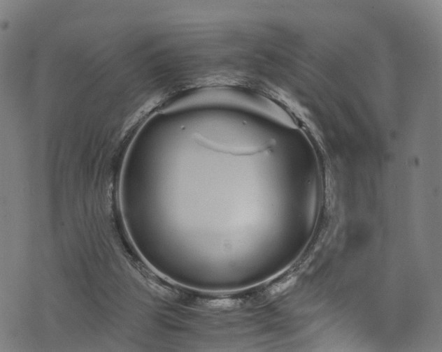 X0000076270153200610051319