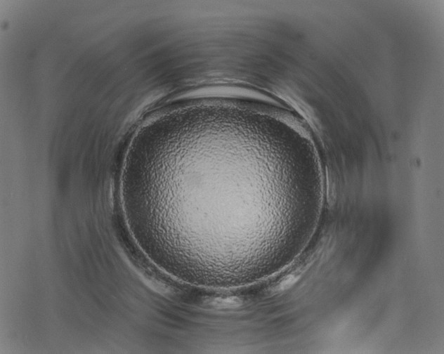 X0000076270157200610051319