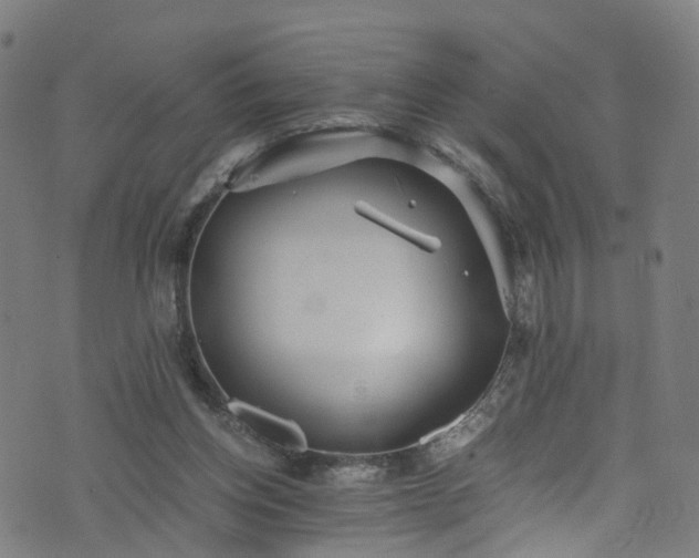 X0000076270158200610051319