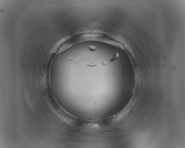 X0000076270159200610051319