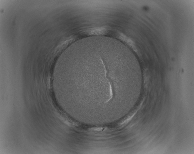 X0000076270161200610051319