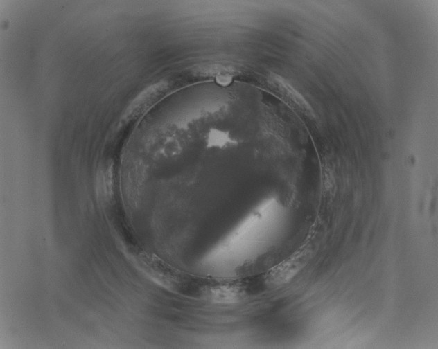 X0000076270163200610051319