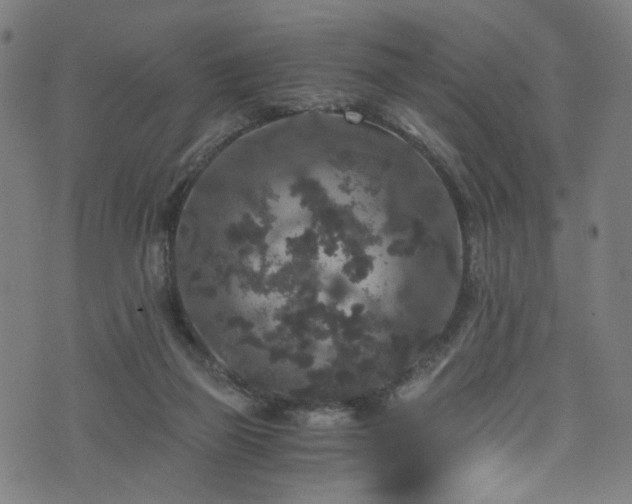 X0000076270165200610051319