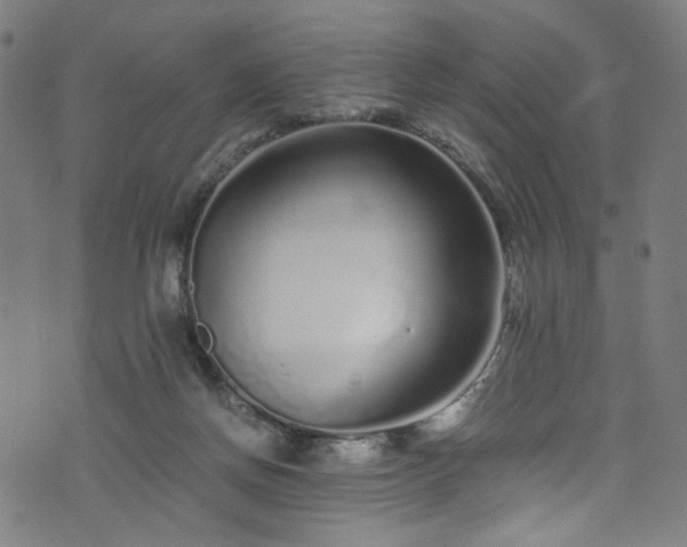 X0000076270166200610051319