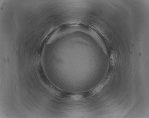 X0000076270168200610051319