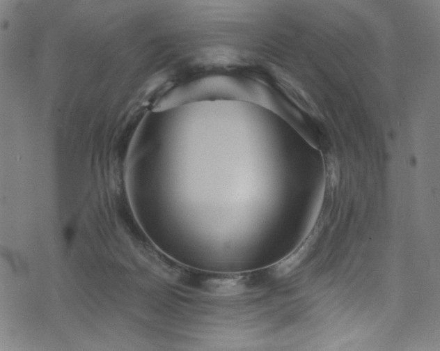 X0000076270170200610051320