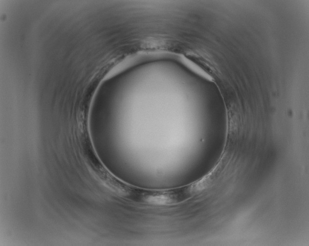 X0000076270171200610051320