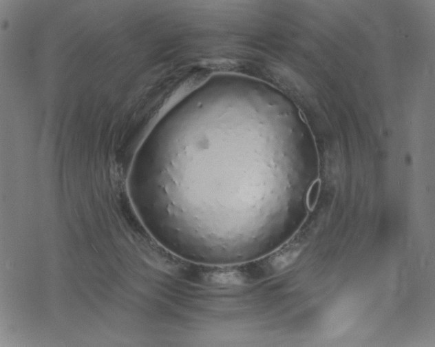 X0000076270173200610051320