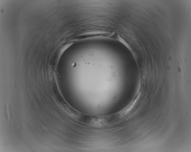 X0000076270174200610051320