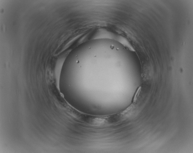 X0000076270176200610051320