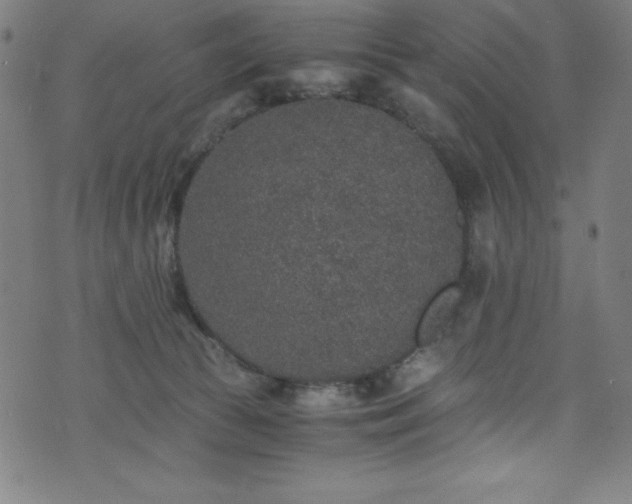 X0000076270177200610051320